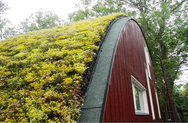 Substrat na zielony dach